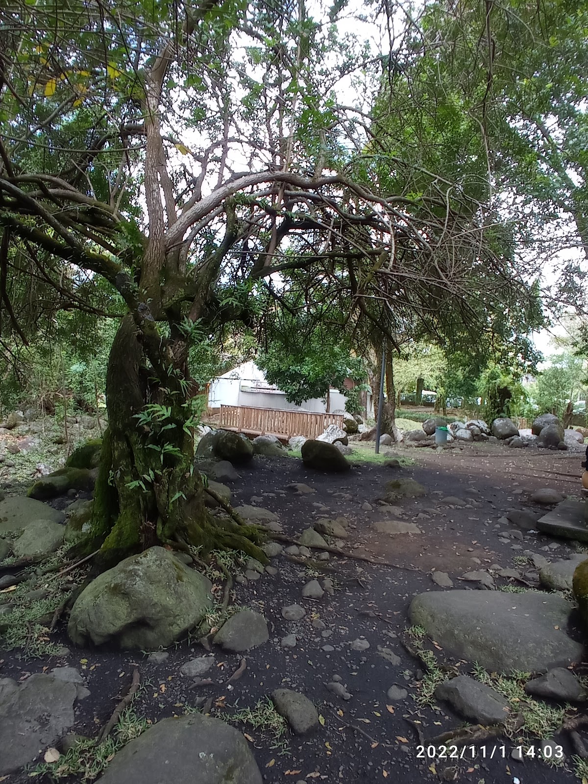 Les délices des berges — ambiance